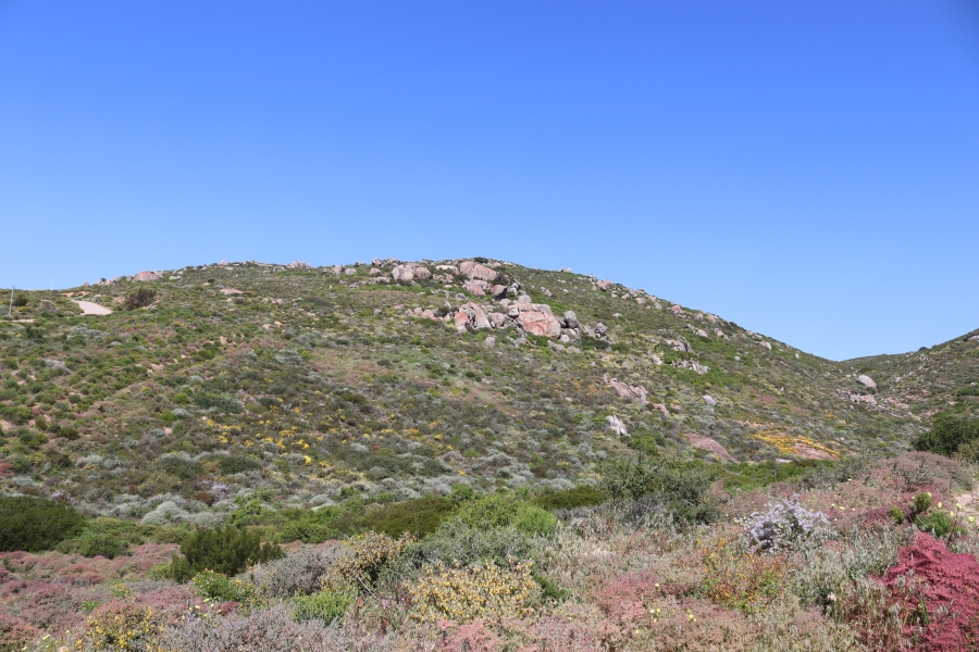 0 Bedroom Property for Sale in Steenbergs Cove Western Cape